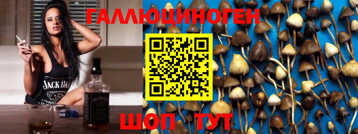 Галлюциногенные грибы Psilocybine cubensis  Галлюциногенные грибы прущие грибы  Вход с VPN  Красноуфимск 